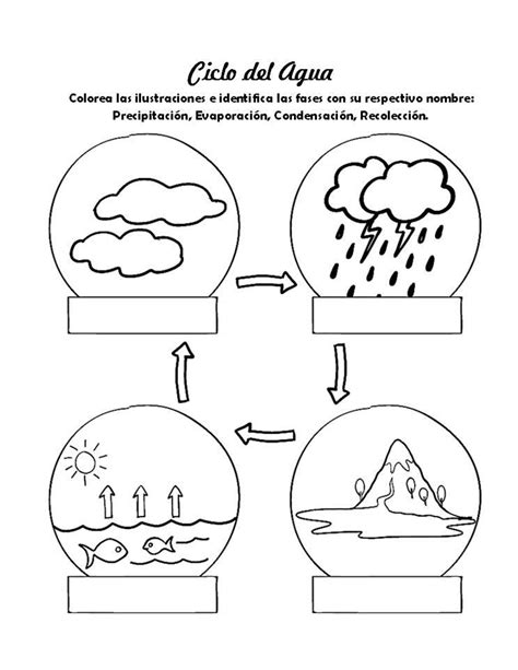 Ficha El Ciclo Del Agua Colorear Imprimir