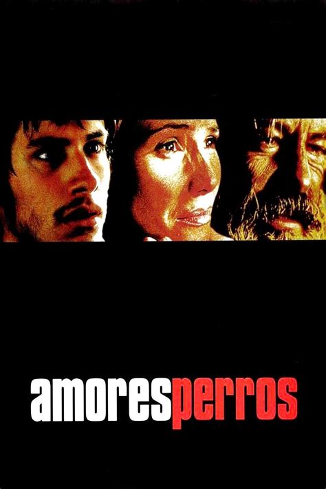 © copyright to amores perros, 2000. Amores Perros (2000) | Full movies online, Movies to watch ...