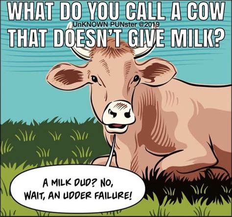 Milk Dud Funny Jokes For Kids Corny Jokes Cows Funny