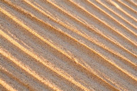 Close Up Macro Texture Of Sand Dune Stock Photo Image Of Macro
