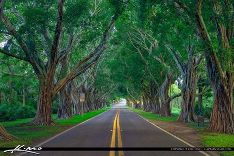 Bridge Road Hobe Sound Florida Easy Hdr Photo Hdr Photography By