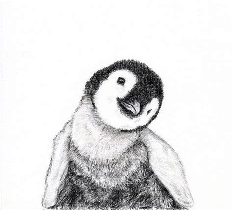 Baby Animal Print For Nursery Penguin Baby Animal Drawings