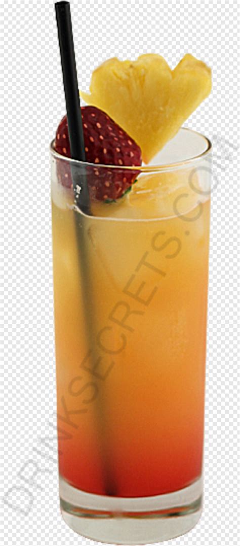 Beach Drink Day At The Beach Recipe Transparent Png 237x538