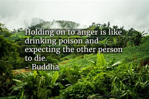 Buddha Quote Holding On To Anger Is Like Drinking Poison And Expecting