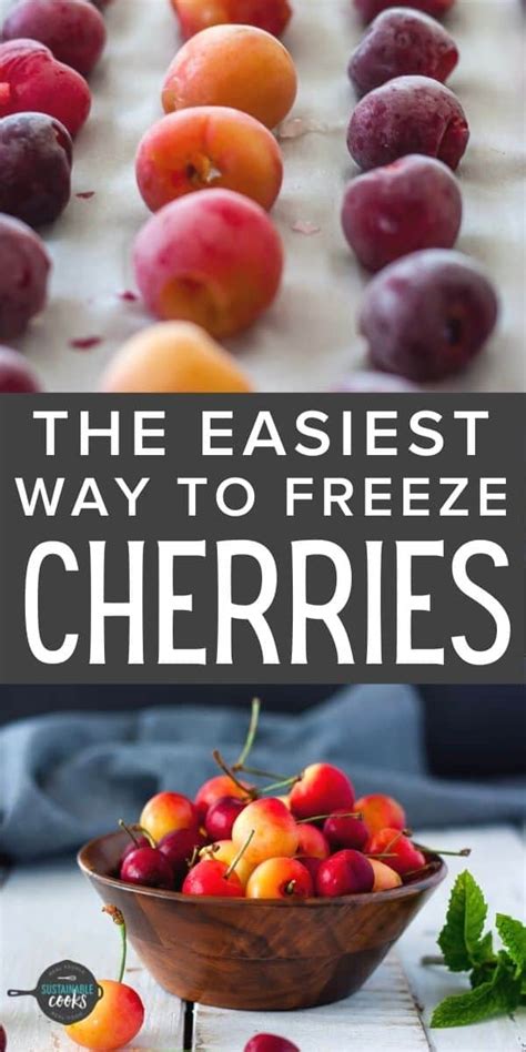 Freezing Cherries How To Freeze Cherries Sustainable Cooks