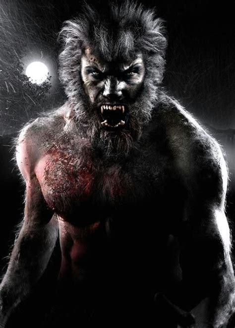 50 Best The Wolfman Or The Wolf Man Images On Pinterest Wolves
