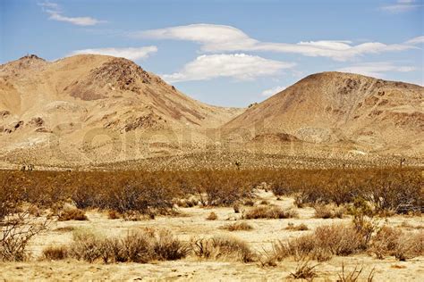 Raw Mojave Desert Landscape Mojave Desert California Usa Dry And Hot