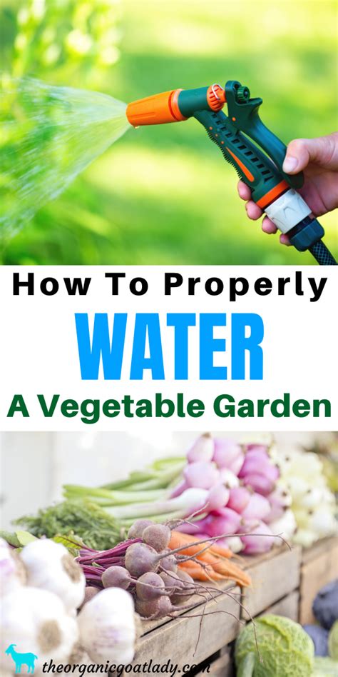 Watering Your Vegetable Garden For Healthy Plants The Organic Goat Lady Organic Gardening