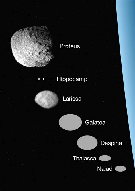 Scientists Reveal Neptunes Tiny New Moon Hippocamp Cbc News Updatetrendnews