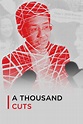 A Thousand Cuts (2020) - Posters — The Movie Database (TMDB)
