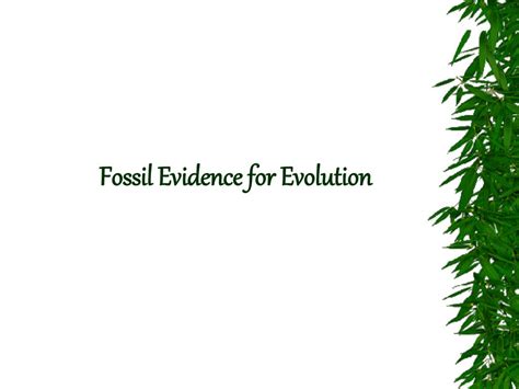 PPT - Fossil Evidence for Evolution PowerPoint ...