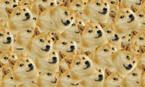 Doge Why We Cant Agree On How To Pronounce The Internet