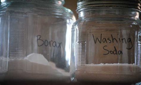 Through the years the techniques have developed but the most effective technique is the bait. Is Borax Effective For Bed Bugs? - Pestkilled
