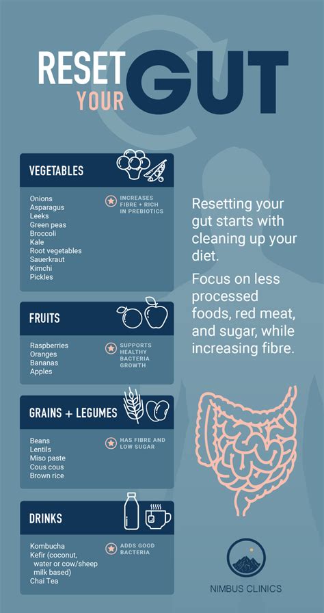 The Best 10 Food That You Can Find For A Healthy Gut Diet Healthy Gut