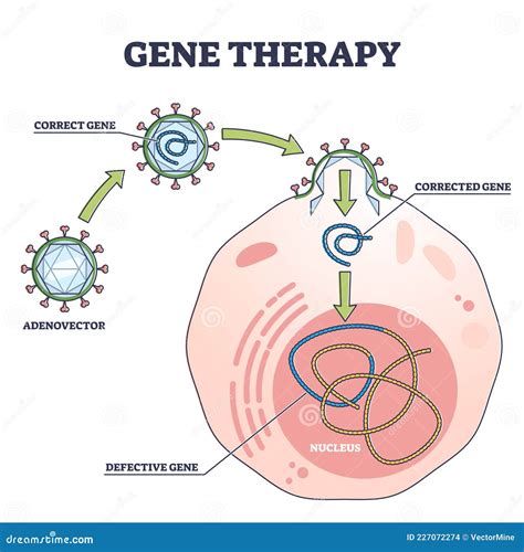 Gene Therapy Medical Treatment And Correct Genome Replacement Outline