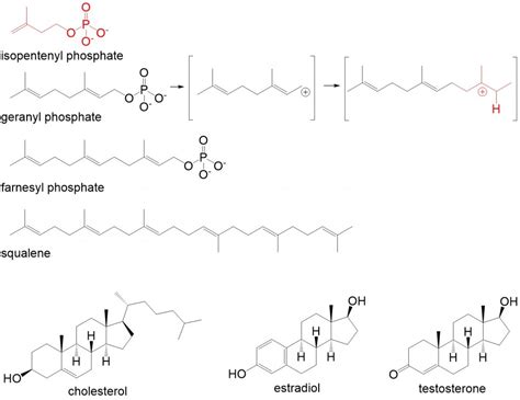 Organic Chemistry Of Lipids