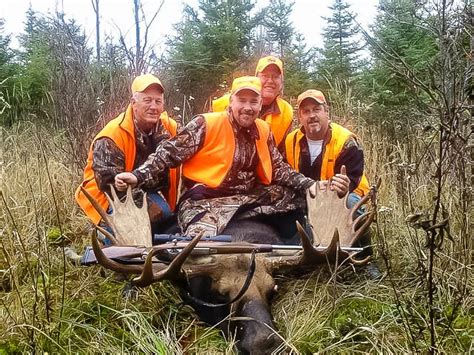 Maine Moose Hunting 15 Mile Stream Lodge And Outfitters