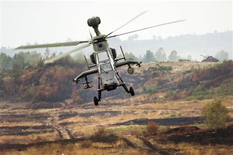 T Mplar Unpleasantly G Lbui Tiger Hubschrauber Drifting Tavan Rochie