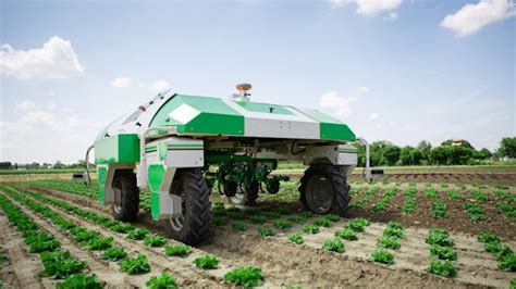 Autonomous Mechanical Weeding Robot Will It Collect Weed Too Auto