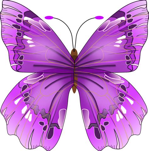 Purple Cartoon Butterflies