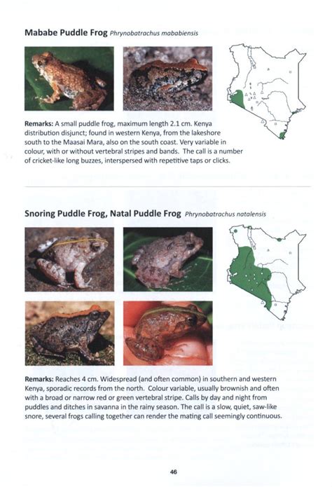 The Amphibians Of Kenya Nhbs Field Guides And Natural History