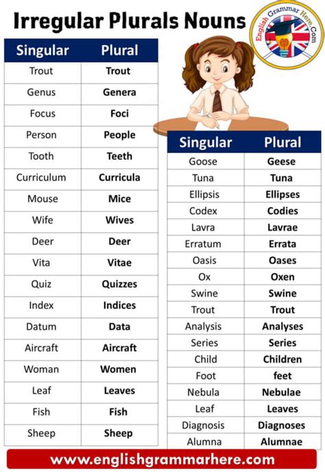 Irregular Plurals Definitions List And Example Sentences English