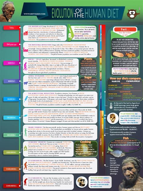 The Evolution Of The Human Diet An Infographic