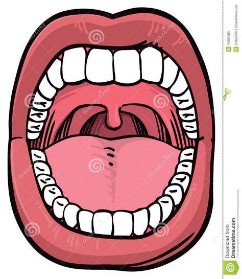 Cartoon Mouths Tooth Cartoon Teeth Drawing Smile Drawing Open Mouth