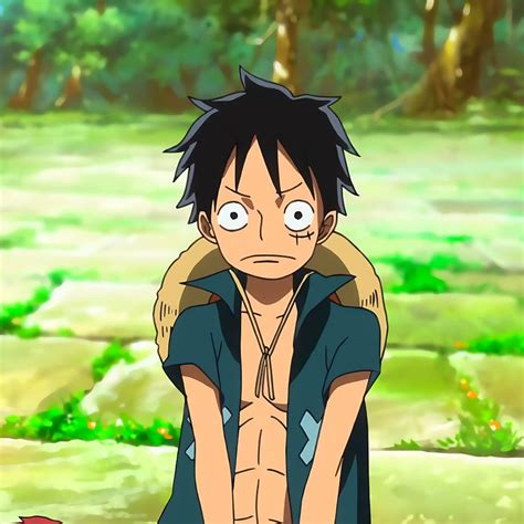 Monkey 3 Monkey D Luffy One Piece Anime Zelda Characters Fictional