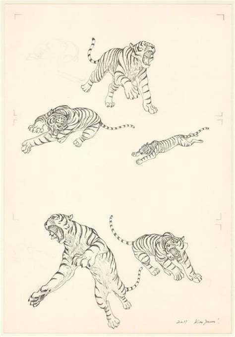 Kim Jung Gi Tiger The Long Tail Illustration Originale R Concept