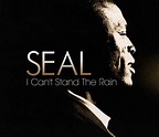 Seal - I Can't Stand The Rain (CD, Maxi-Single) | Discogs