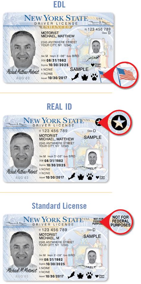 Ny Real Id Deadline In 2020 Everything You Need To Know Massapequa