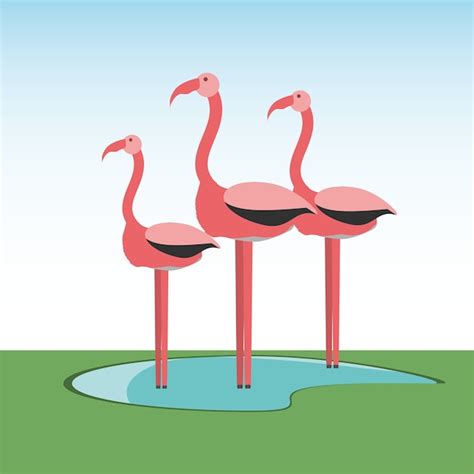 Ícone Do Pássaro Dos Flamingos Vetor Premium
