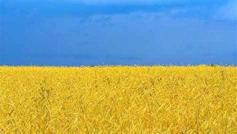 Bne Intellinews Ukraine Launches Its Land Market