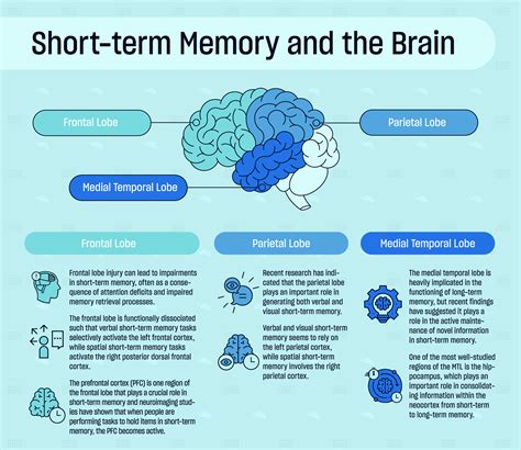Short Term Memory Maze Engineers