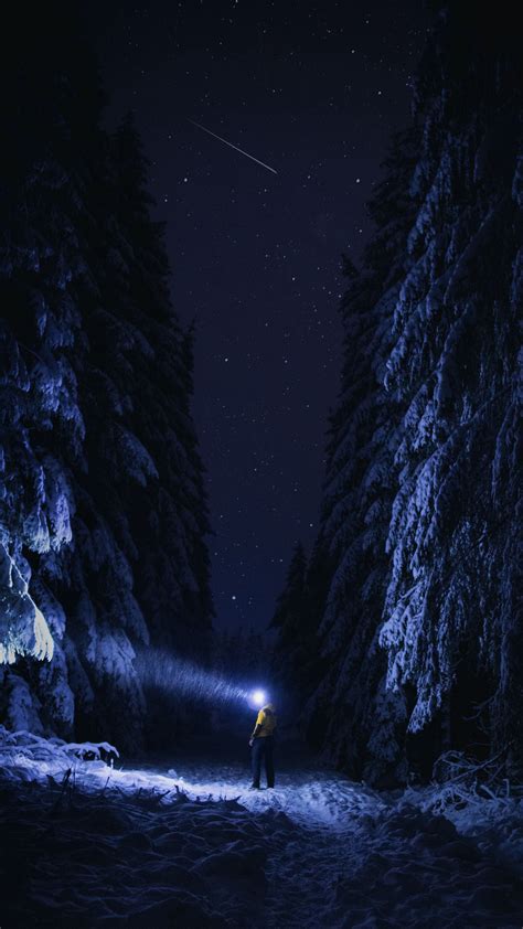Download Wallpaper 2160x3840 Man Flashlight Night Forest Snow Dark