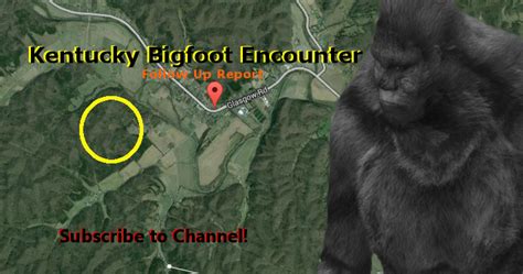 Bigfoot Encounter Follow Up Report The Crypto Crew