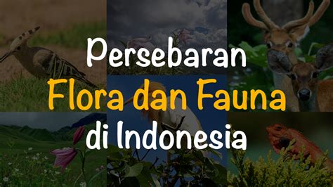 Persebaran Flora Dan Fauna Di Indonesia Freedomsiana
