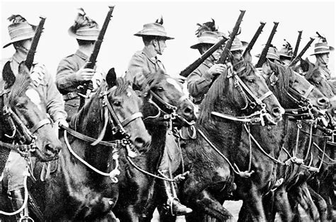 War Horses Ww1 Incredible Images