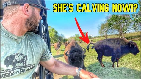 We Let Them Go and This Happens! Day Turns Into Disaster! - YouTube