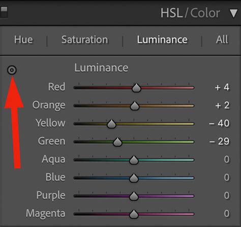 Complete Guide To Lightroom Hsl Sliders For Adjusting Color