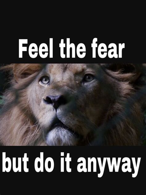 Do It Anyway Lion Fear Feelings Animals Leo Animales Animaux Lions