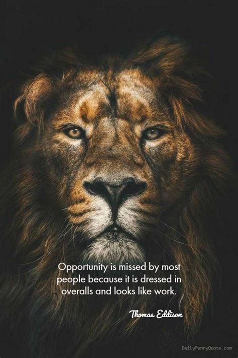 50 Funny Inspirational Quotes That Will Inspire You Extremely