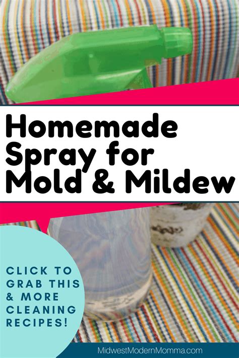 Homemade Mildew Removal Spray Mold Too Midwest Modern Momma