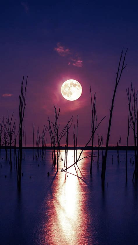 Moonlight Reflections Hd Phone Wallpaper Peakpx