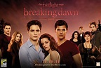 Movie Corner: Breaking Dawn, Part 1 | US Daily Review