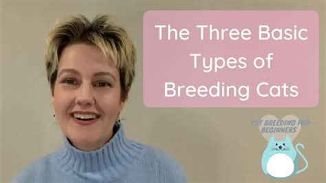 The Three Basic Types Of Breeding Cats Youtube
