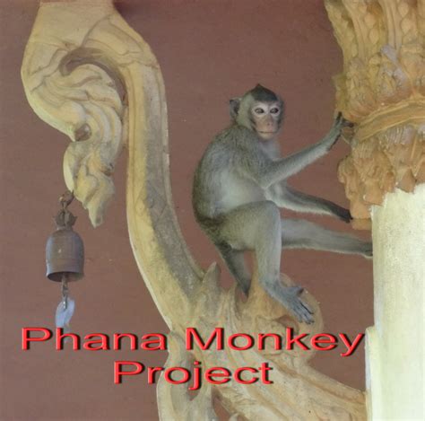 Phana Monkey Project Thai Monkey Forest