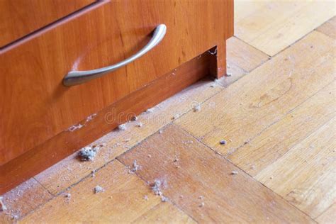 Dirty Hardwood Floor With Dust Stock Image Image Of Brown House