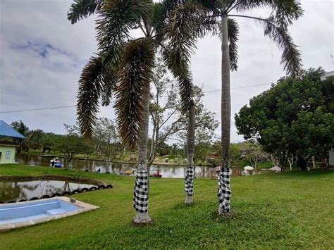 Di versi mobile, buka aplikasi polisi tangkap pengemudi pajero yang aniaya sopir truk di jakarta utara. Wisata ekonomis nan romantis Giant Hill Circuit Sumatera ...